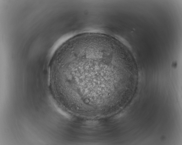 X0000112211223200908141450