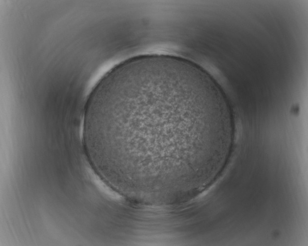 X0000112211224200908141450