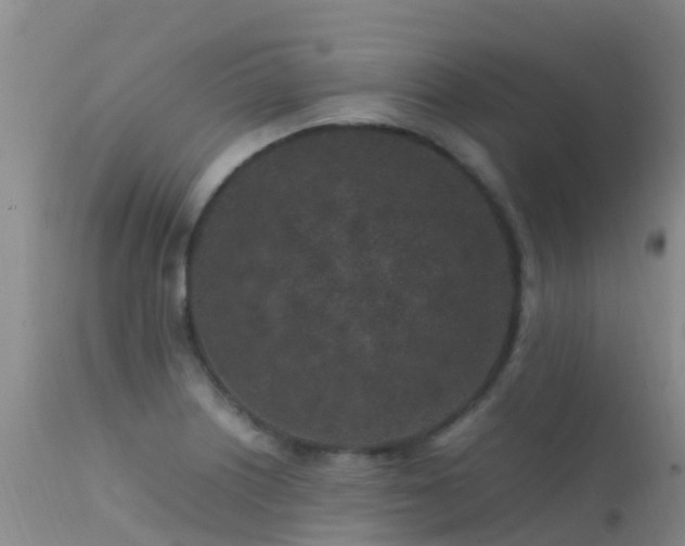 X0000112211226200908141450