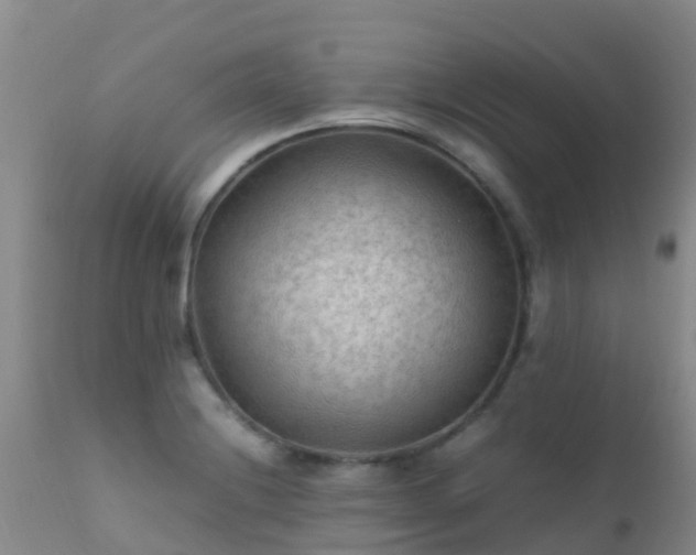 X0000112211228200908141450