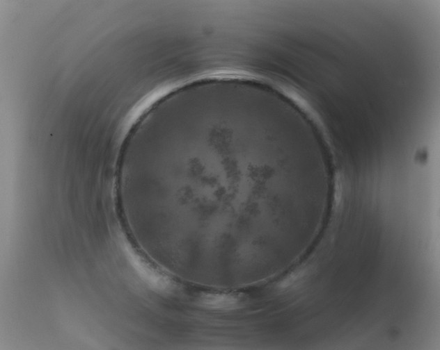 X0000112211229200908141450