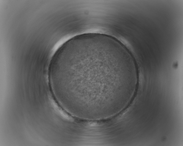 X0000112211230200908141450