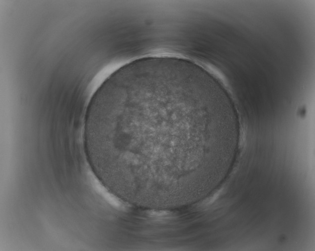 X0000112211231200908141450