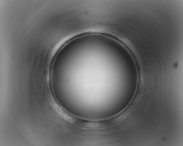 X0000112211232200908141450