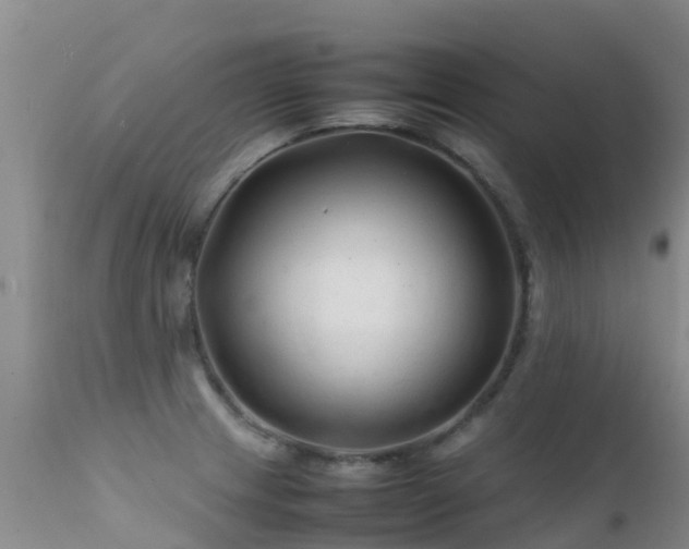 X0000112211233200908141450