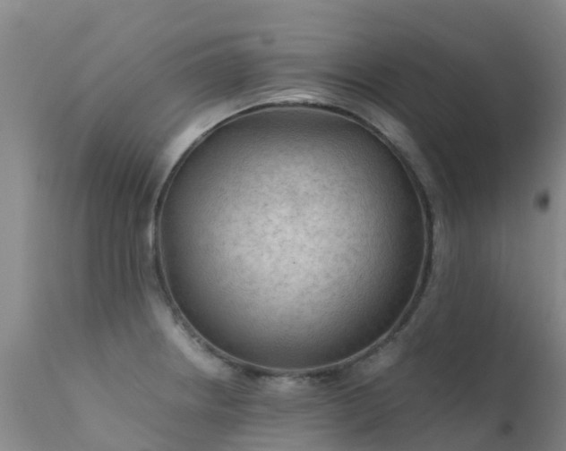 X0000112211234200908141450