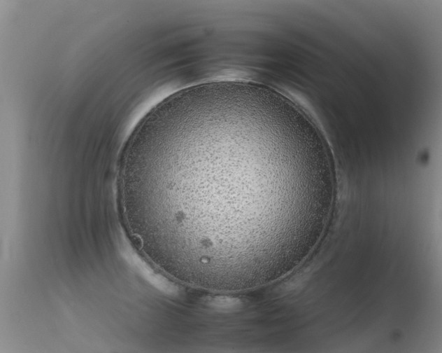 X0000112211235200908141450