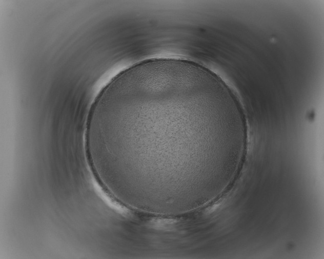 X0000112211237200908141450