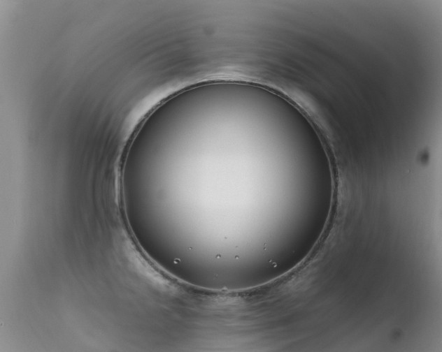 X0000112211238200908141450