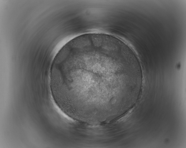 X0000112211239200908141450