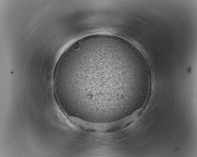 X0000112211240200908141450