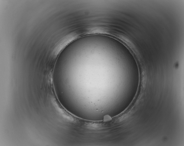 X0000112211241200908141450