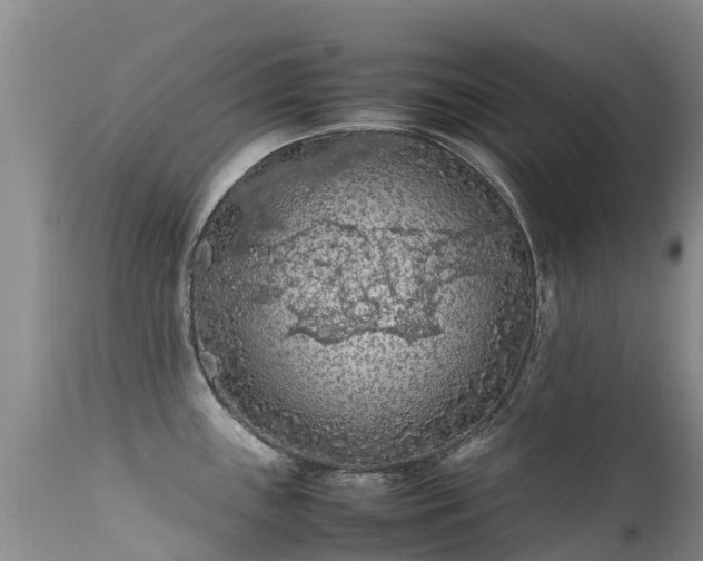 X0000112211243200908141450