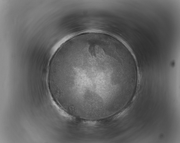 X0000112211245200908141450