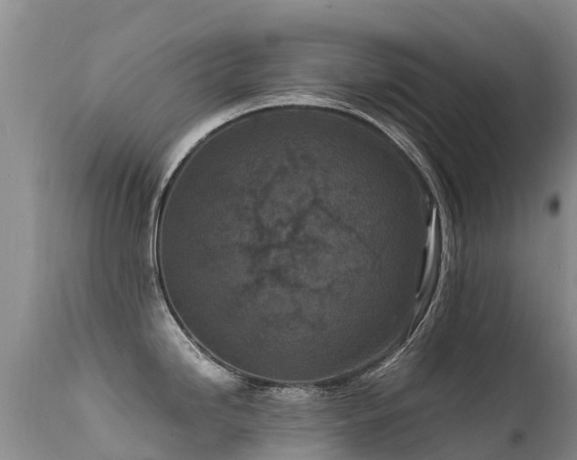 X0000112211246200908141450