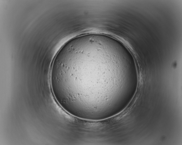 X0000112211247200908141450