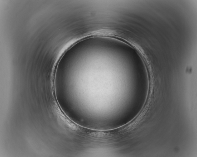 X0000112211248200908141451