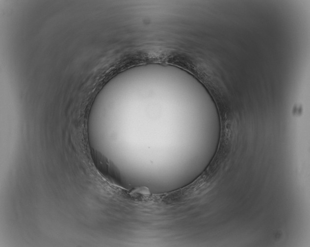 X0000112211249200908141450