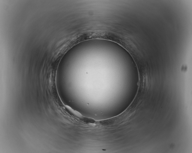 X0000112211250200908141450