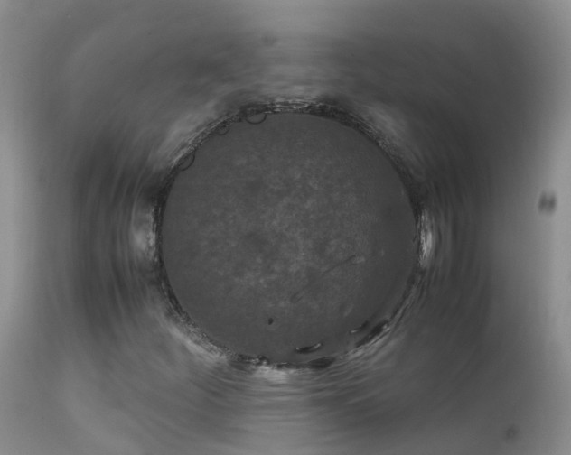 X0000112211252200908141450