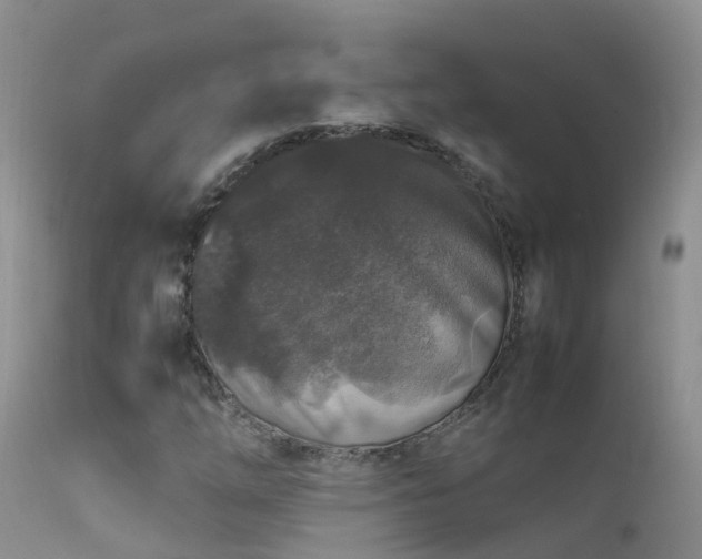 X0000112211254200908141450