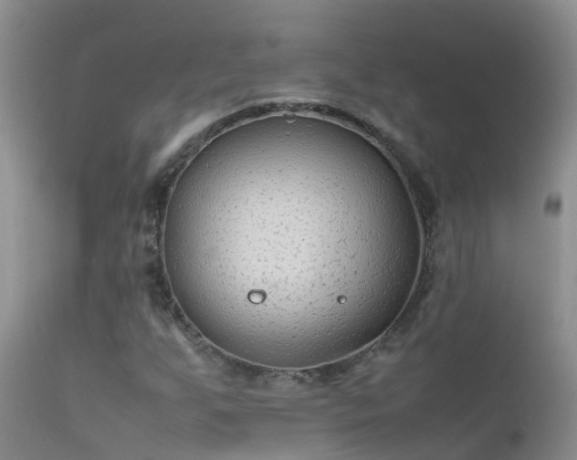 X0000112211255200908141450