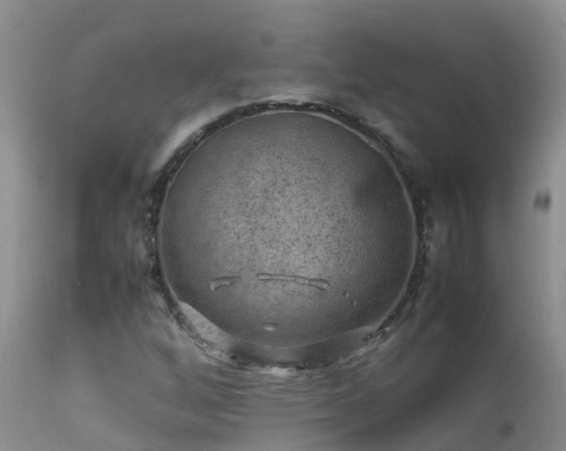 X0000112211256200908141450