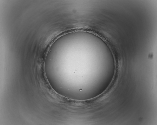 X0000112211257200908141450