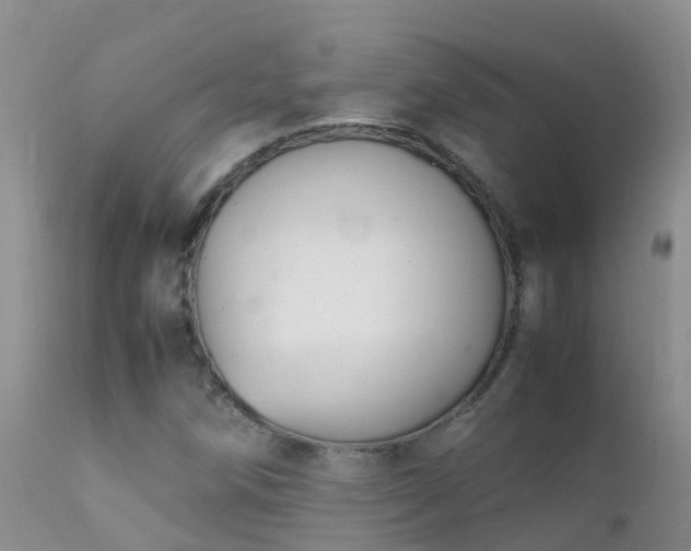 X0000112211258200908141450