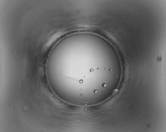 X0000112211259200908141450