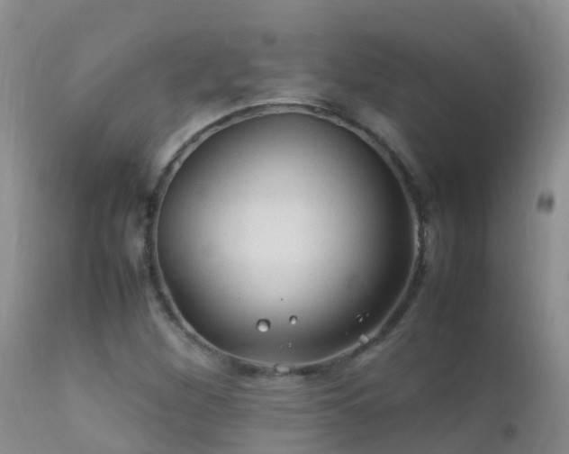 X0000112211260200908141450