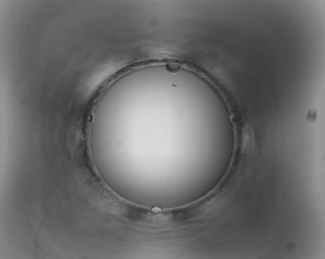 X0000112211261200908141450