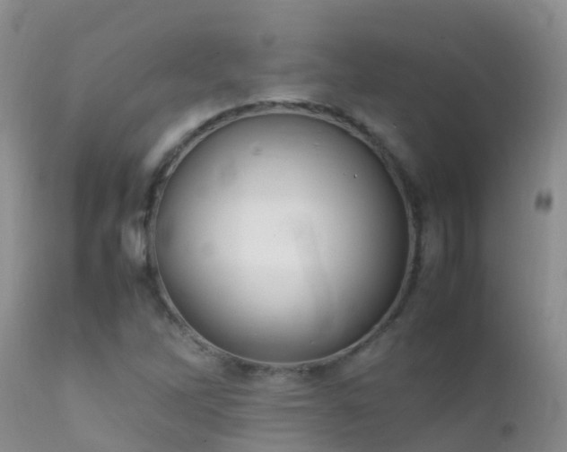 X0000112211262200908141449