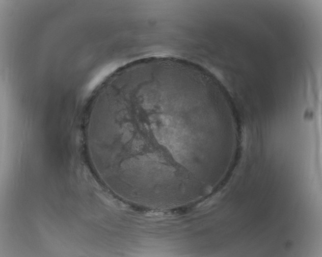 X0000112211263200908141449