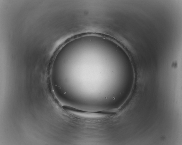 X0000112211264200908141449