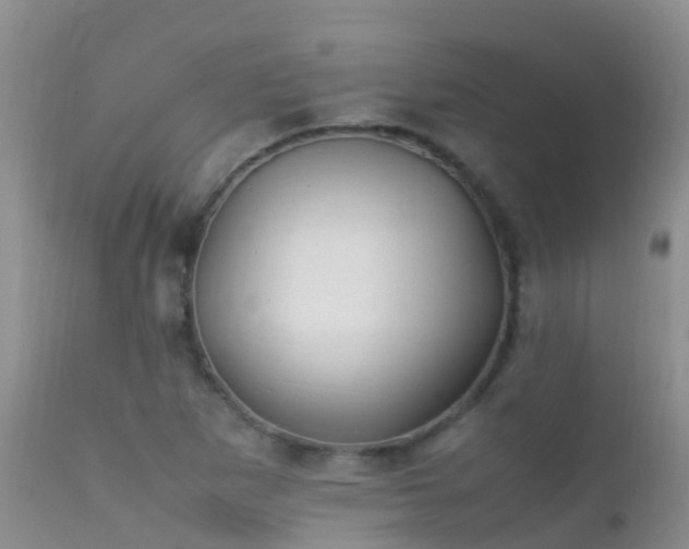 X0000112211265200908141449