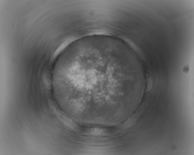 X0000112211266200908141449