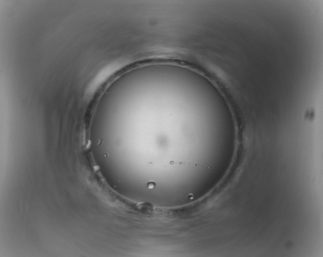 X0000112211267200908141449