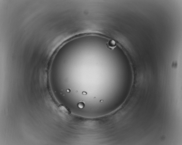 X0000112211268200908141449