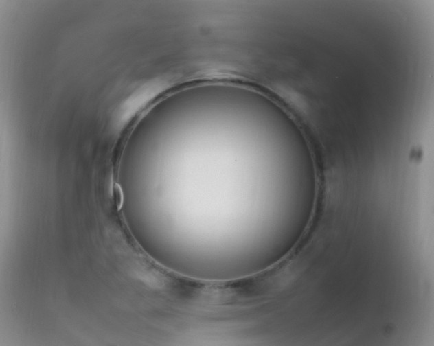 X0000112211269200908141449