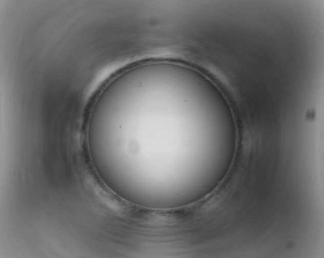 X0000112211270200908141449