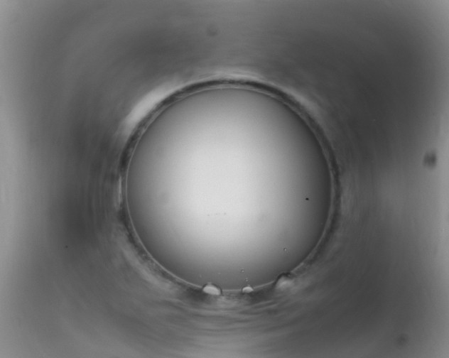 X0000112211271200908141449