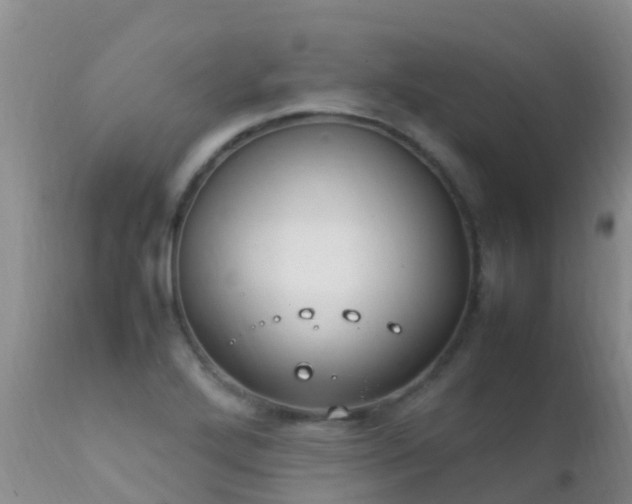 X0000112211272200908141449