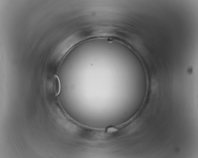 X0000112211273200908141449