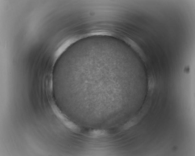 X0000112211274200908141449