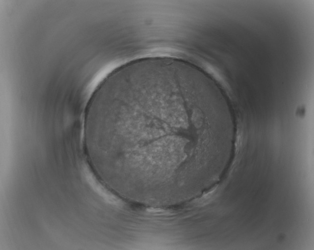 X0000112211275200908141449