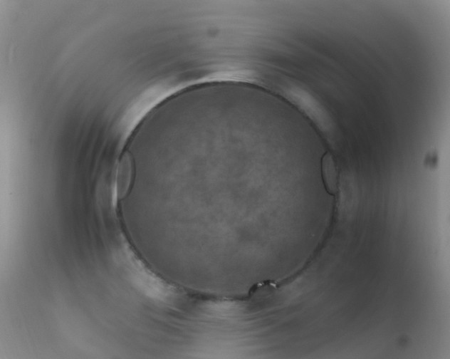 X0000112211276200908141449