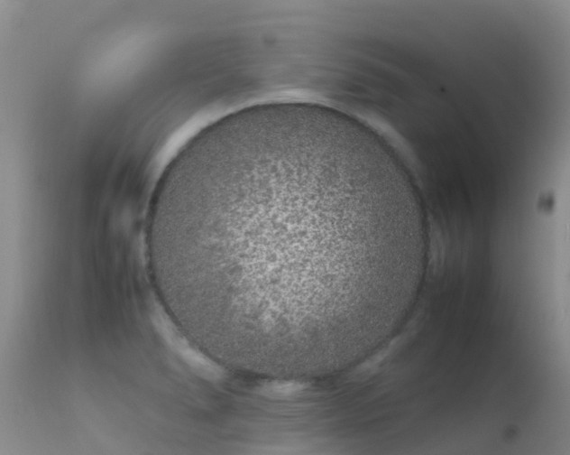 X0000112211278200908141449