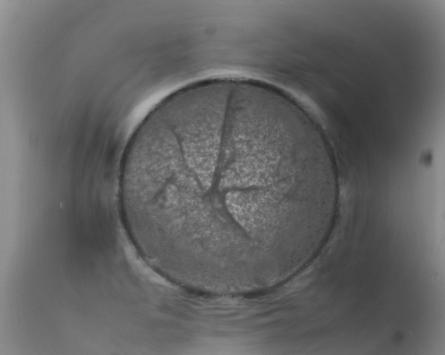 X0000112211279200908141449