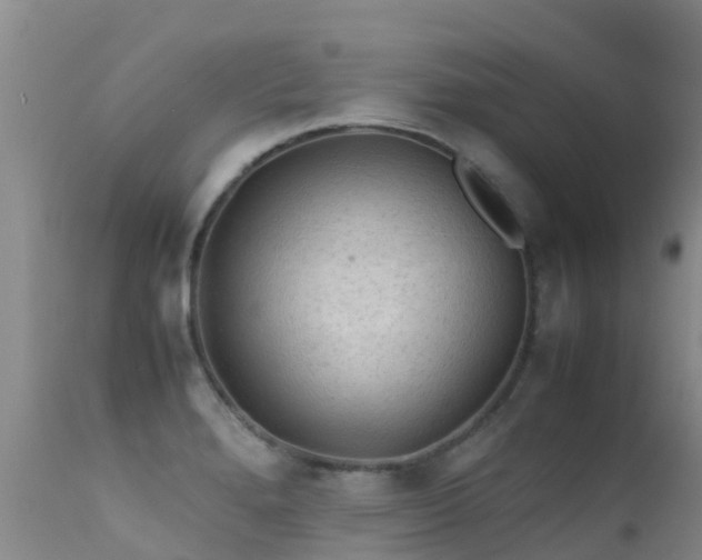 X0000112211280200908141449